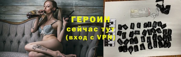 гидра Гусев